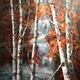 Falls’ Falling