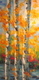 Birches in Yellow